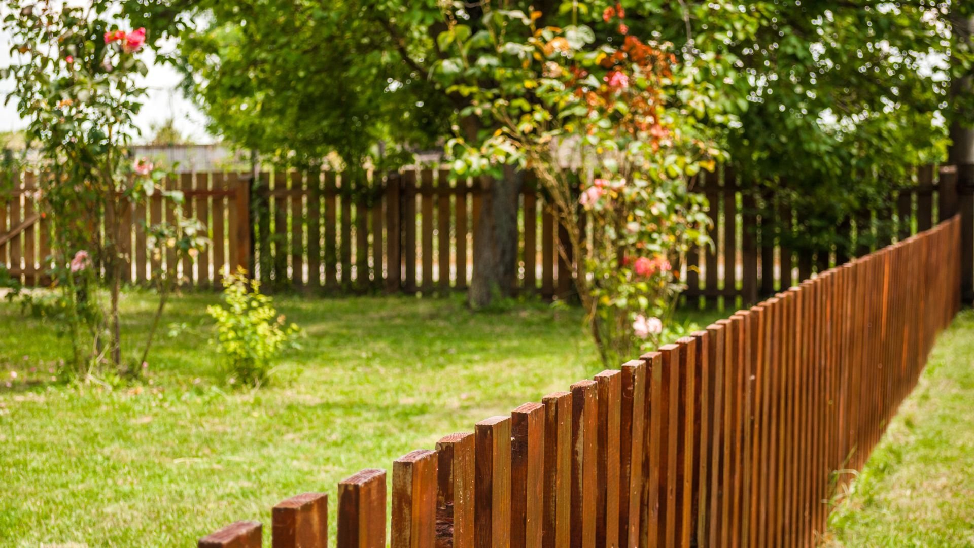 Wooden fence bordering a green lawn with flowering trees and bushes
