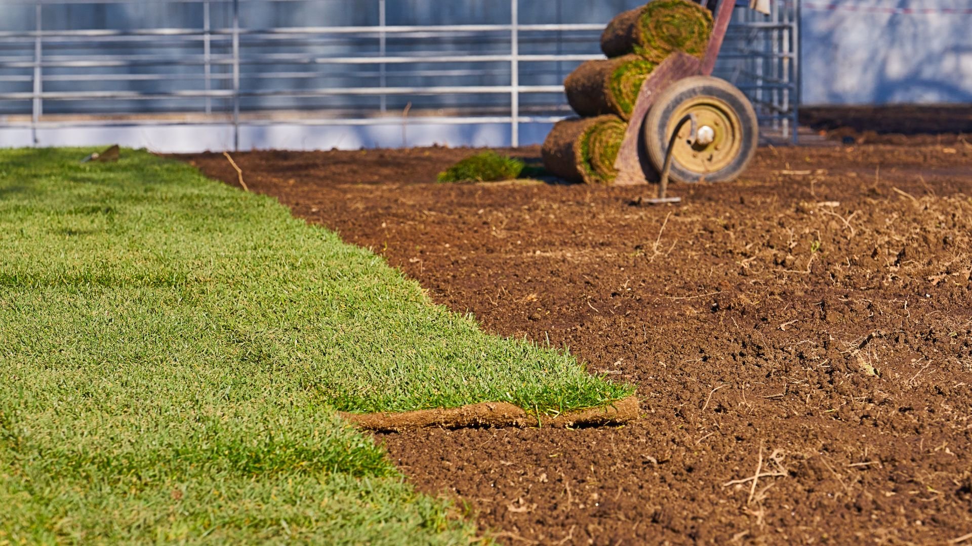 Rolled turf grass being installed on prepared soil with gardening cart
