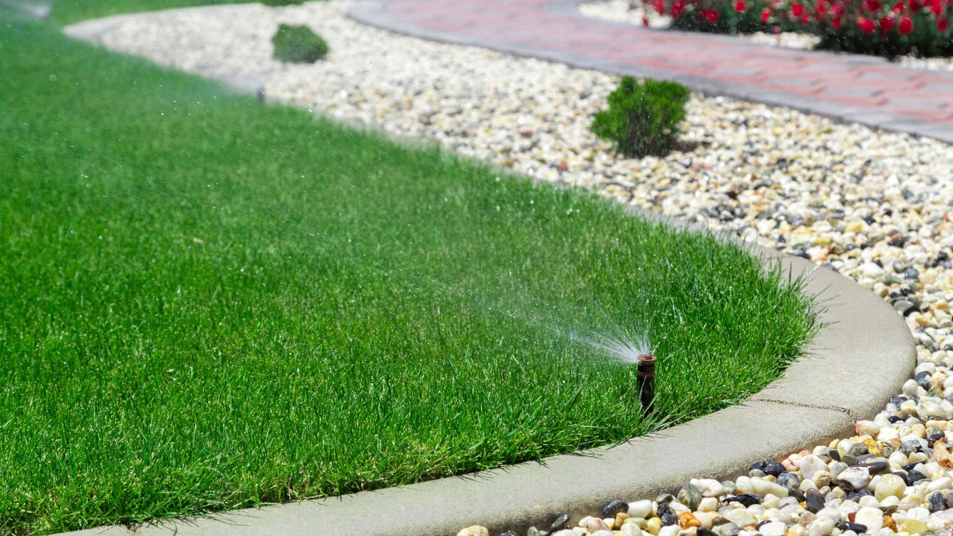 Sprinkler watering lush green lawn with stone border and landscaping